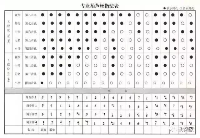 葫芦丝九孔葫芦丝指法表，葫芦丝九孔葫芦丝指法表